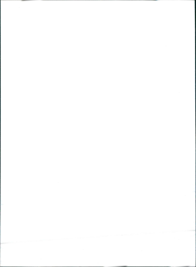 Alfa Spider - Vintage Photograph