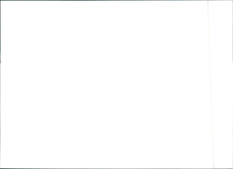 1996 Alfa Romeo 146 Ti - Vintage Photograph