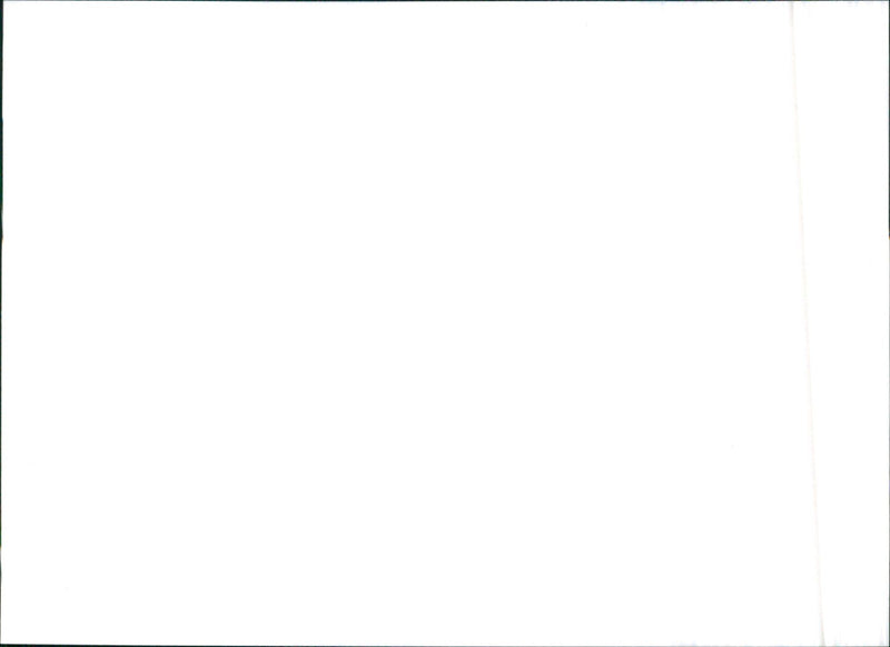 1996 Alfa Romeo GTV, 146, 155 and Spider - Vintage Photograph