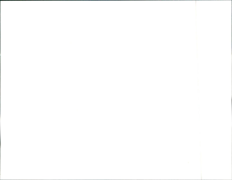 1991 Alfa Romeo - Vintage Photograph