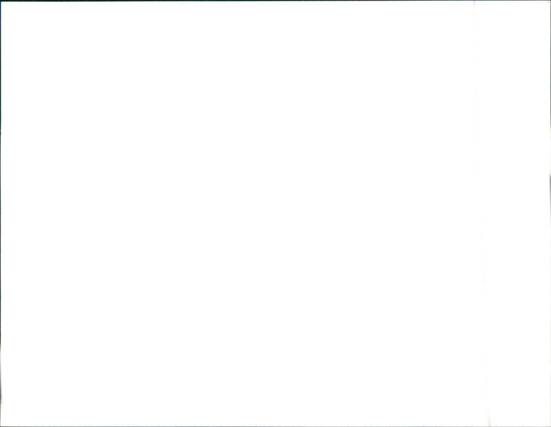 1991 Alfa Romeo - Vintage Photograph