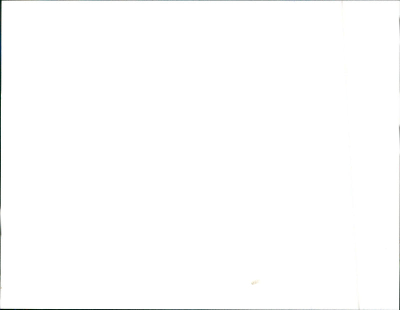 1991 Alfa Romeo - Vintage Photograph