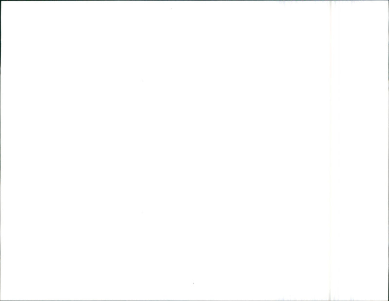 1992 Alfa Romeo 155 - Vintage Photograph