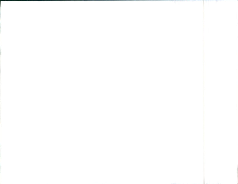 1992 Alfa Romeo 155 - Vintage Photograph