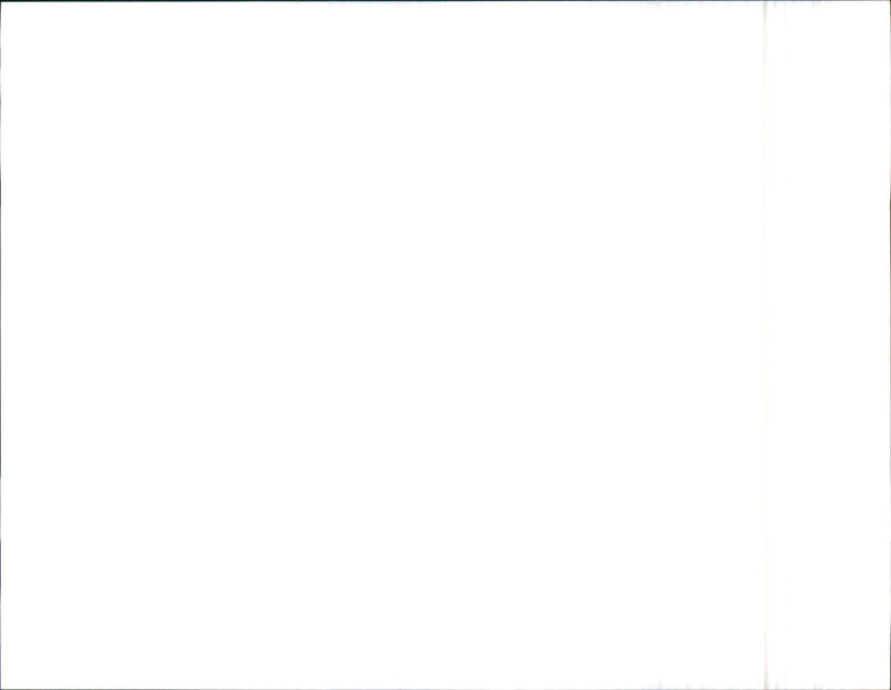 1992 Alfa Romeo 155 - Vintage Photograph