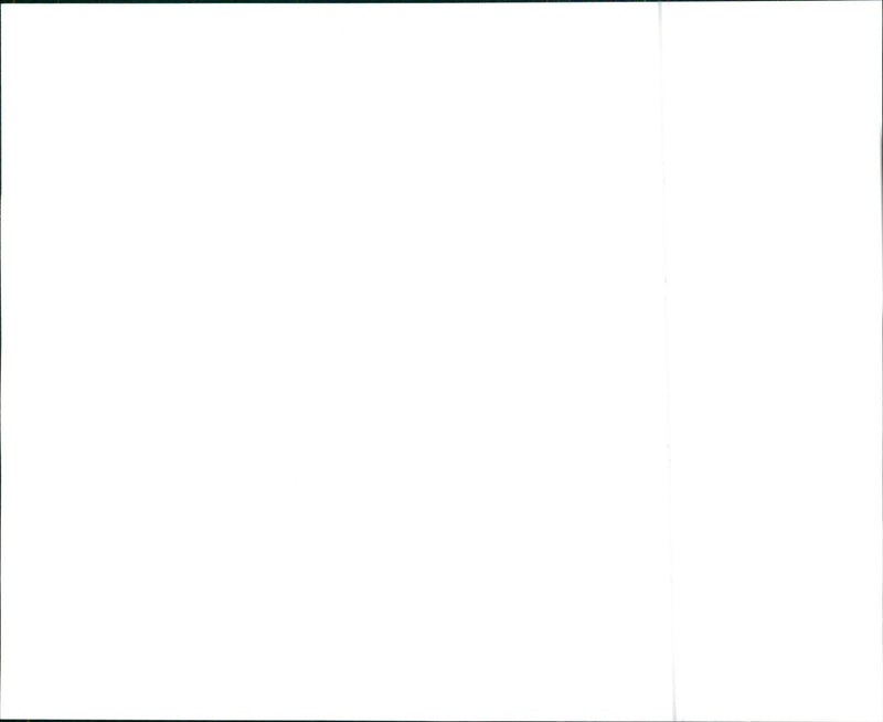 1994 Chevrolet S-10 Pickup 4WD W/ZR2 (top) and 1994 Chevrolet S-10 Extended Cab Pickup 4WD (bottom) - Vintage Photograph