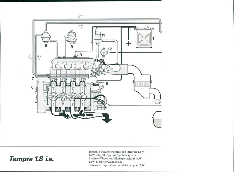 Fiat Tempra 1.8 i.e - Vintage Photograph