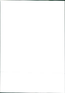 1990 Fiat Tempra - Vintage Photograph