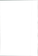 Fiat Ulysse 2.0 Turbo HL - Vintage Photograph