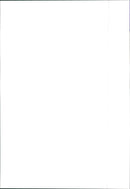 Fiat Ulysse - Vintage Photograph