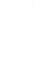 Fiat Ulysse - Vintage Photograph