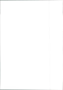 Fiat Punto GT - Vintage Photograph