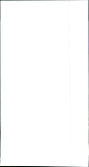 Fiat Punto - Vintage Photograph