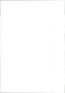 Fiat Punto - Vintage Photograph