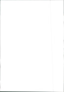 Fiat Punto - Vintage Photograph