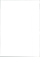 Fiat Punto - Vintage Photograph