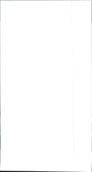 Fiat Punto - Vintage Photograph