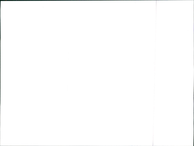 Nissan Primera EV - Vintage Photograph