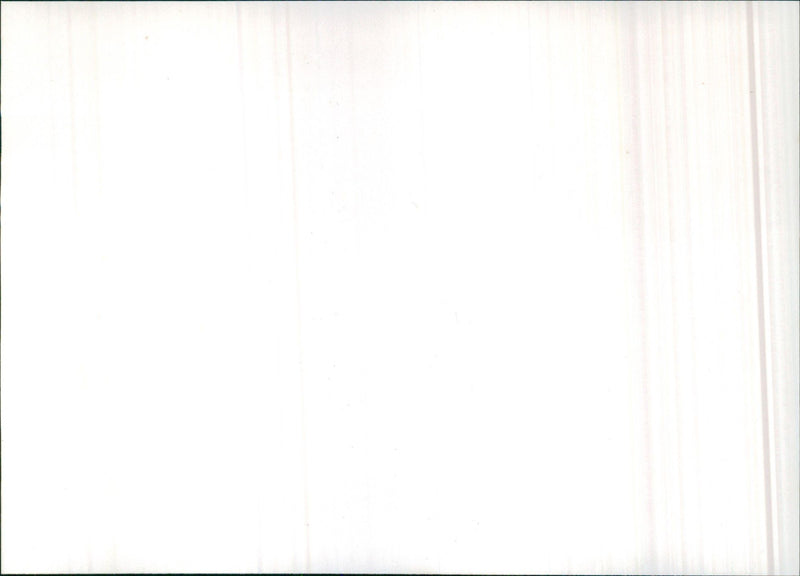 1986 Citroen BX Break - Vintage Photograph