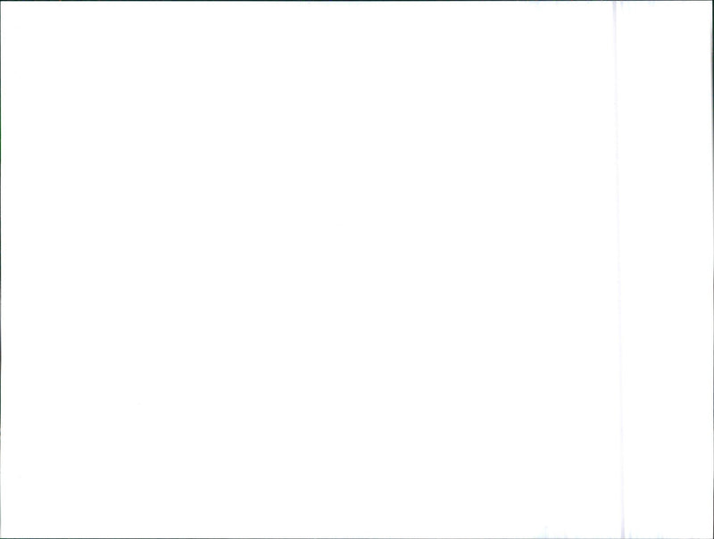 Audi - Vintage Photograph