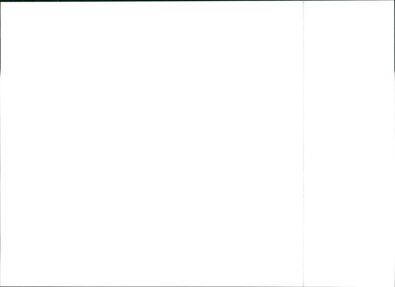 Michelotti PAC - Vintage Photograph