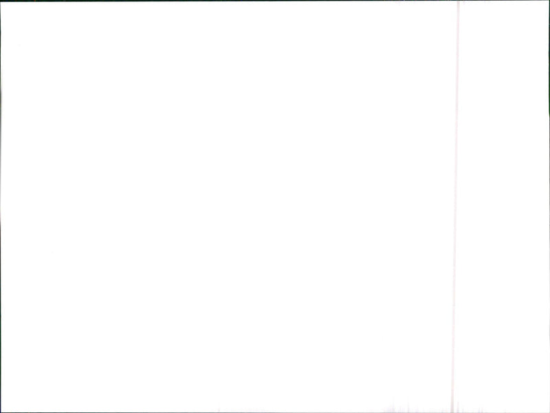 Audi 200 Quattro 20V - Vintage Photograph