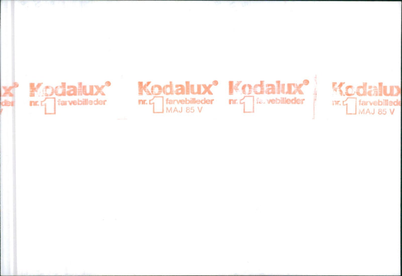 Wartburg 1965 - Vintage Photograph