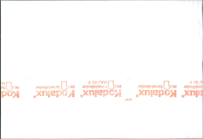 Wartburg 1965 - Vintage Photograph