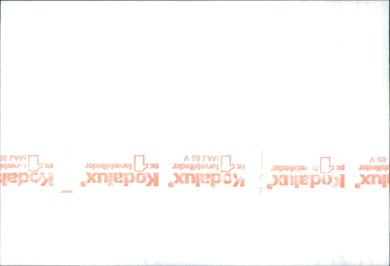 Wartburg 1965 - Vintage Photograph