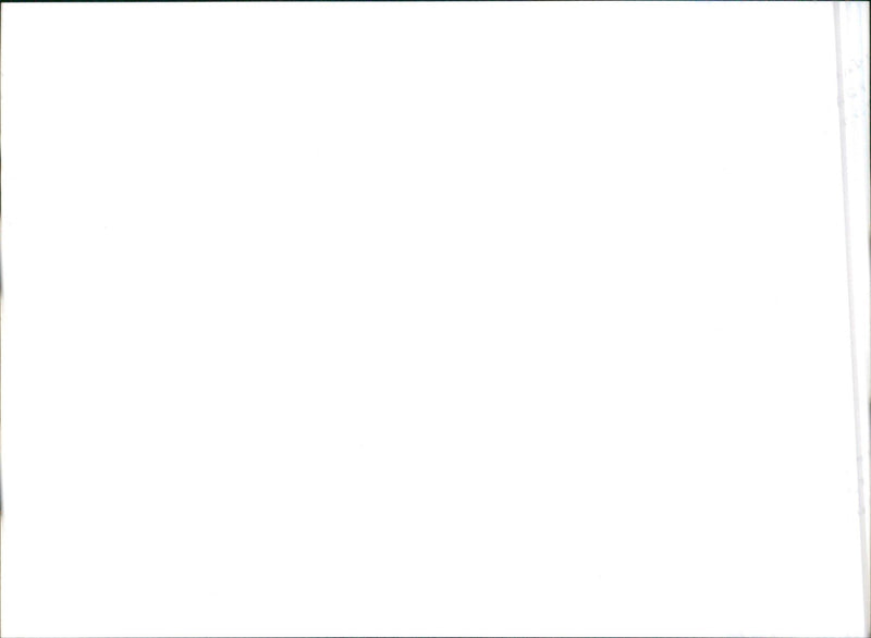 Bancroft Roadster - Vintage Photograph