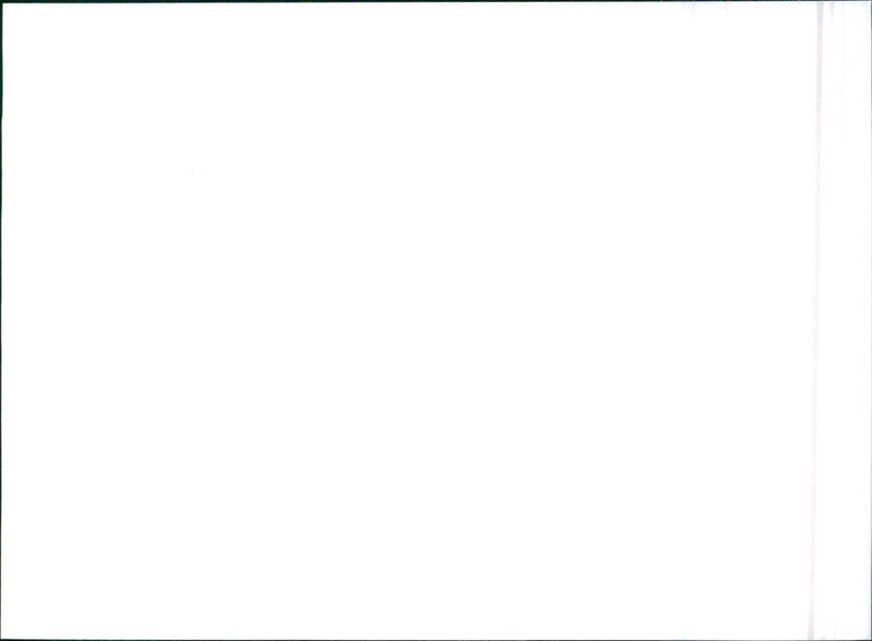 Nissan 200SX - Vintage Photograph