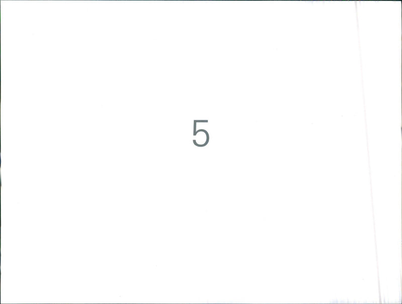 Car Parking - Vintage Photograph