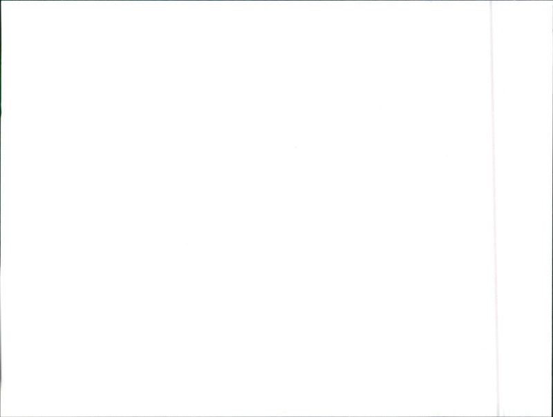 1991 Audi Cabriolet - Vintage Photograph