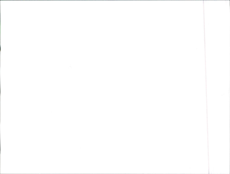 1991 Audi Cabriolet - Vintage Photograph