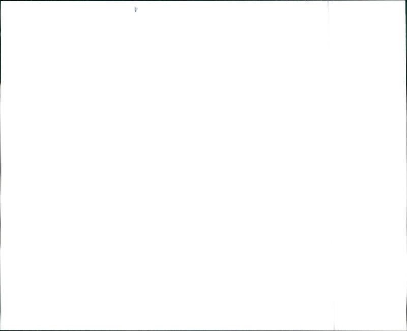 1996 Infiniti J30 and 1996 Infiniti J30t - Vintage Photograph