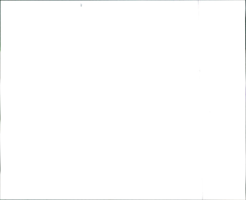 1996 Infiniti I30t - Vintage Photograph