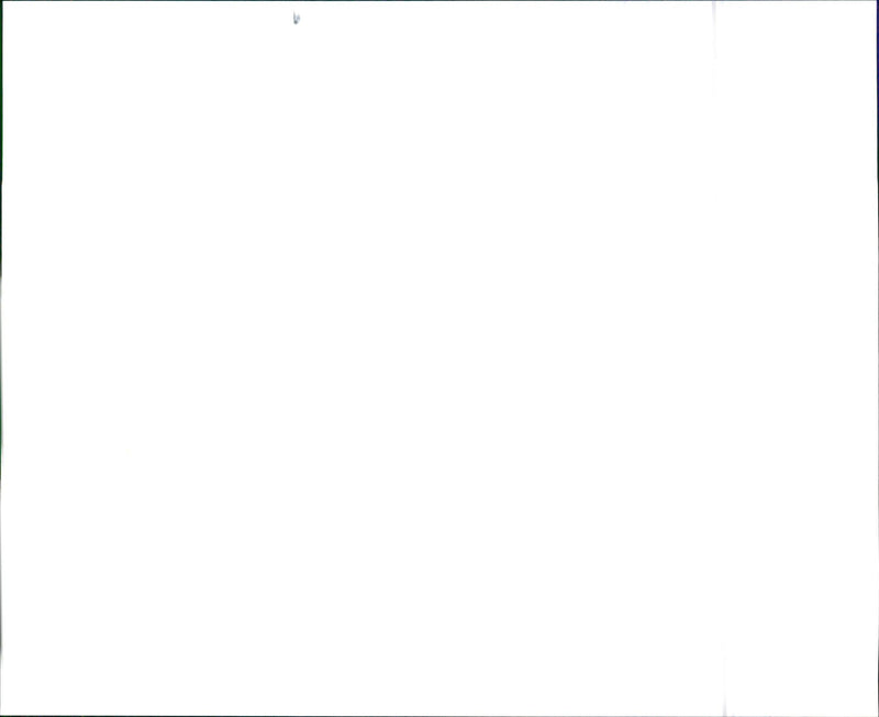 1996 Infiniti Q45 and 1996 Infiniti Q45t - Vintage Photograph