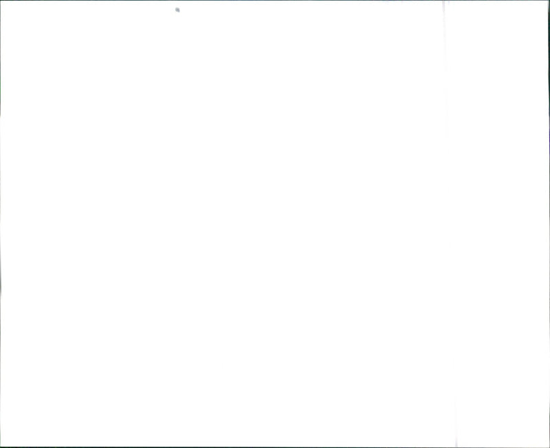 1996 Infiniti G20 and 1996 Infiniti G20t - Vintage Photograph