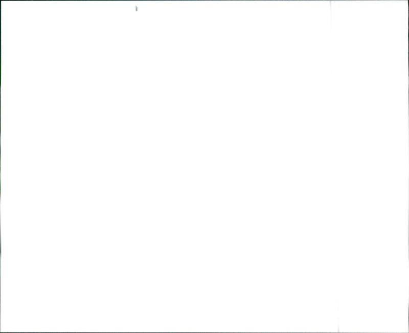 1996 Infiniti J30 and 1996 Infiniti J30t - Vintage Photograph