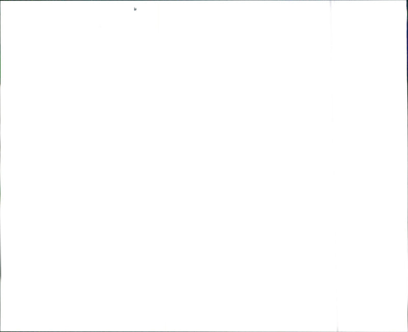 1996 Infiniti I30t - Vintage Photograph