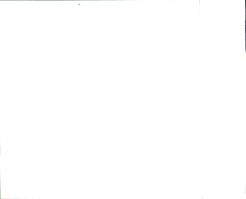 1996 Infiniti G20 and 1996 Infinit G20t - Vintage Photograph