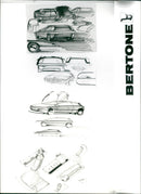 Zabrus Bertone Illustration - Vintage Photograph