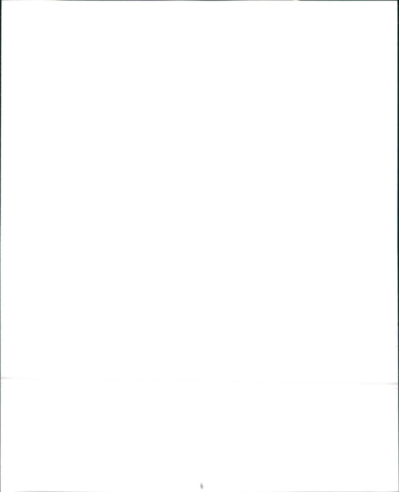 1991 Suzuki Swift GA & 1991 Suzuki Swift GS - Vintage Photograph