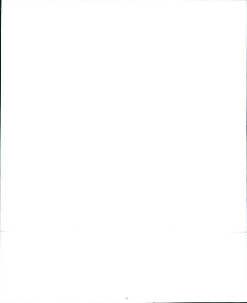 1992 Suzuki Swift - Vintage Photograph