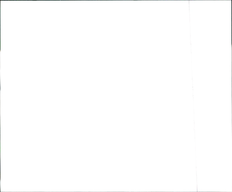 1990 Honda CRX Si - Vintage Photograph