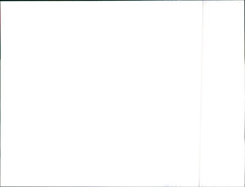 Austin Maestro R Series - Vintage Photograph