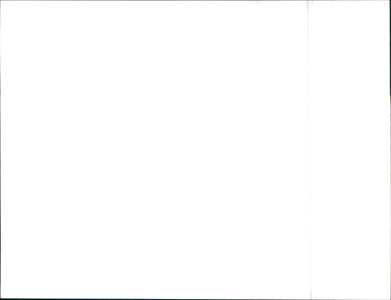 Austin Maestro - Vintage Photograph