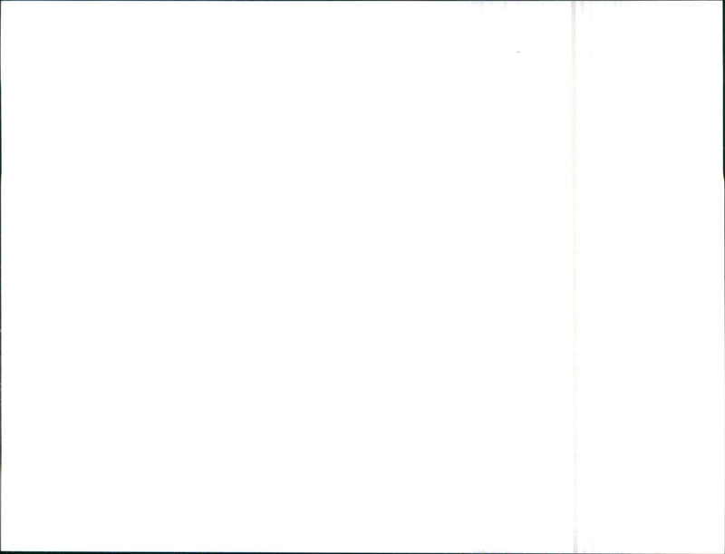 Austin Maestro 1.3 L - Vintage Photograph