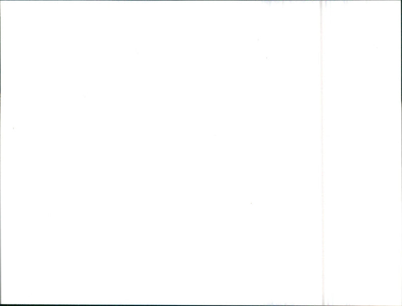 Austin Maestro 1.3 HLE - Vintage Photograph