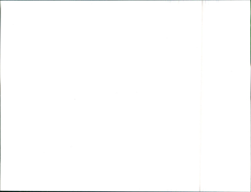 Austin Maestro 1.6 HLS - Vintage Photograph